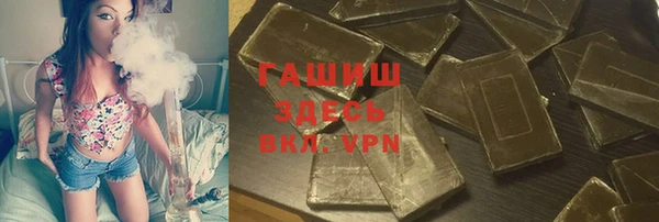 стаф Алзамай