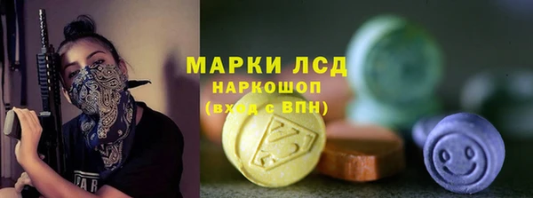 стаф Алзамай