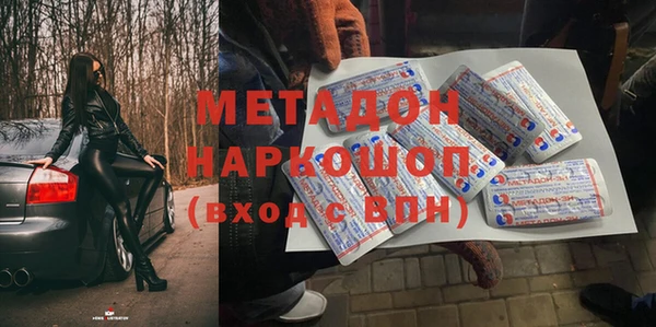 стаф Алзамай