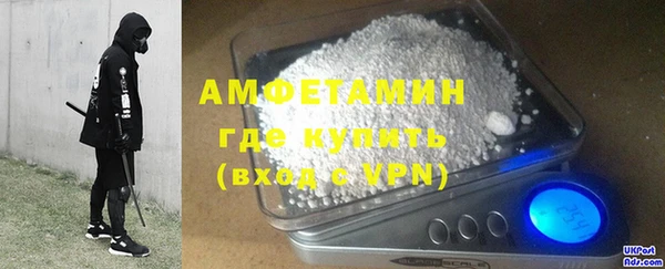 стаф Алзамай
